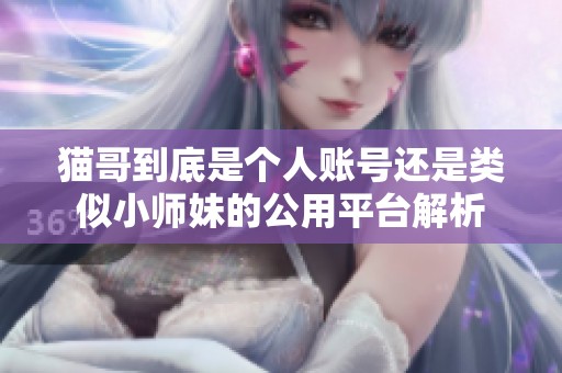 猫哥到底是个人账号还是类似小师妹的公用平台解析