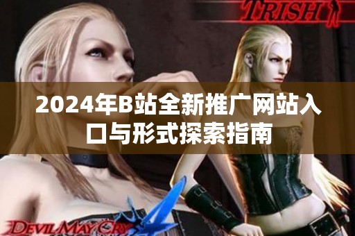 2024年B站全新推广网站入口与形式探索指南