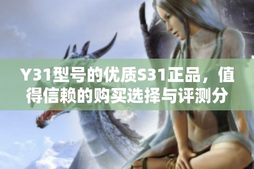 Y31型号的优质S31正品，值得信赖的购买选择与评测分享