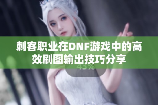 刺客职业在DNF游戏中的高效刷图输出技巧分享