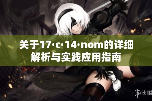 关于17·c·14·nom的详细解析与实践应用指南