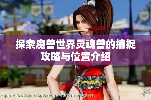 探索魔兽世界灵魂兽的捕捉攻略与位置介绍
