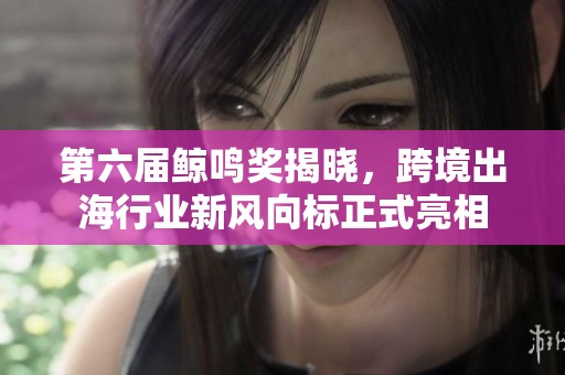 第六届鲸鸣奖揭晓，跨境出海行业新风向标正式亮相