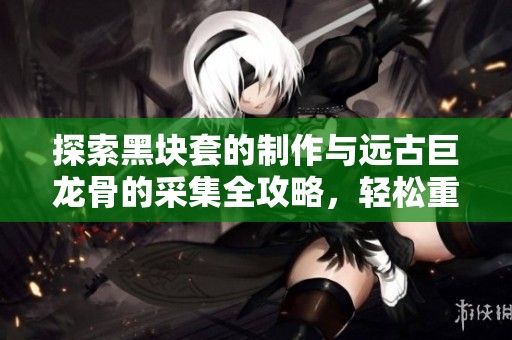 探索黑块套的制作与远古巨龙骨的采集全攻略，轻松重写怪物历程