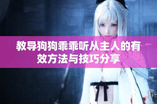 教导狗狗乖乖听从主人的有效方法与技巧分享