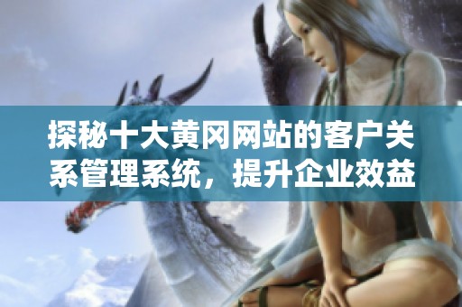 探秘十大黄冈网站的客户关系管理系统，提升企业效益与用户体验