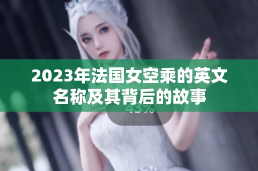 2023年法国女空乘的英文名称及其背后的故事