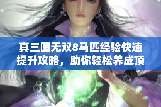 真三国无双8马匹经验快速提升攻略，助你轻松养成顶级战马