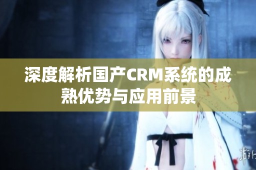 深度解析国产CRM系统的成熟优势与应用前景