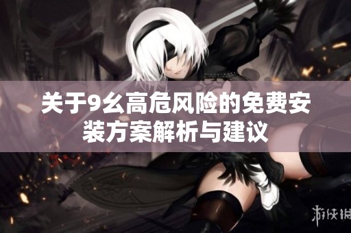 关于9幺高危风险的免费安装方案解析与建议