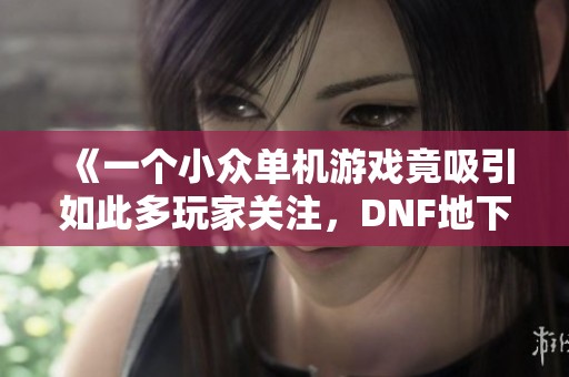 《一个小众单机游戏竟吸引如此多玩家关注，DNF地下城背后的故事》