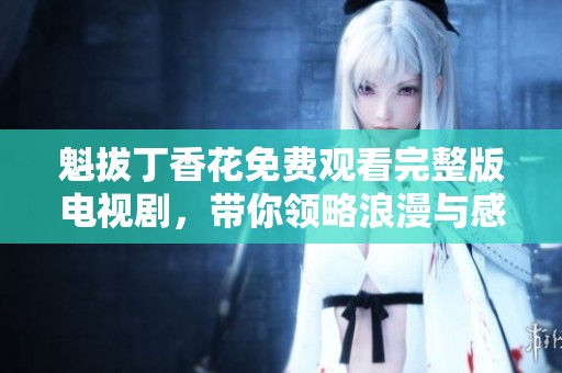 魁拔丁香花免费观看完整版电视剧，带你领略浪漫与感动