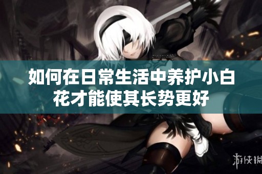 如何在日常生活中养护小白花才能使其长势更好