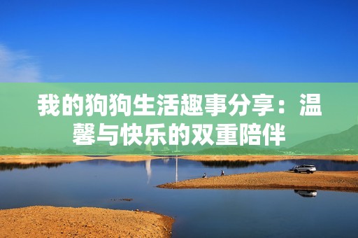 我的狗狗生活趣事分享：温馨与快乐的双重陪伴