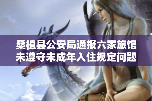 桑植县公安局通报六家旅馆未遵守未成年入住规定问题