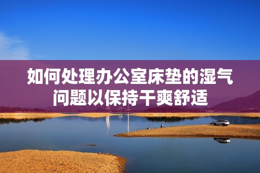 如何处理办公室床垫的湿气问题以保持干爽舒适