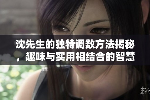 沈先生的独特调数方法揭秘，趣味与实用相结合的智慧之旅