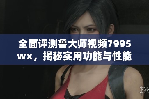 全面评测鲁大师视频7995wx，揭秘实用功能与性能表现