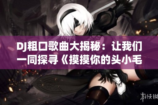 DJ粗口歌曲大揭秘：让我们一同探寻《摸摸你的头小毛驴》背后的故事