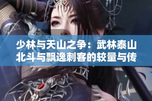 少林与天山之争：武林泰山北斗与飘逸刺客的较量与传奇
