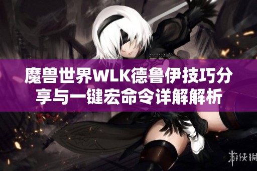 魔兽世界WLK德鲁伊技巧分享与一键宏命令详解解析