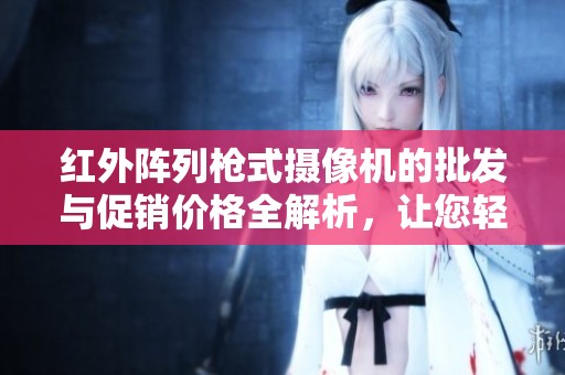 红外阵列枪式摄像机的批发与促销价格全解析，让您轻松选购