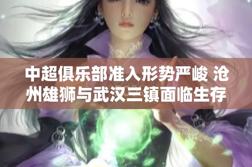 中超俱乐部准入形势严峻 沧州雄狮与武汉三镇面临生存考验