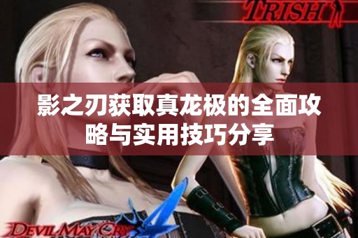 影之刃获取真龙极的全面攻略与实用技巧分享