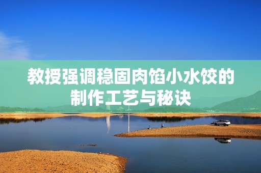 教授强调稳固肉馅小水饺的制作工艺与秘诀