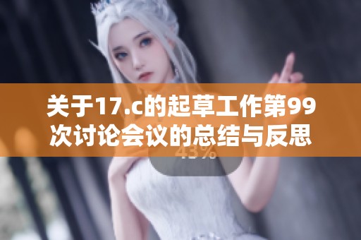 关于17.c的起草工作第99次讨论会议的总结与反思