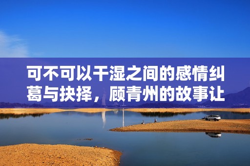 可不可以干湿之间的感情纠葛与抉择，顾青州的故事让人深思