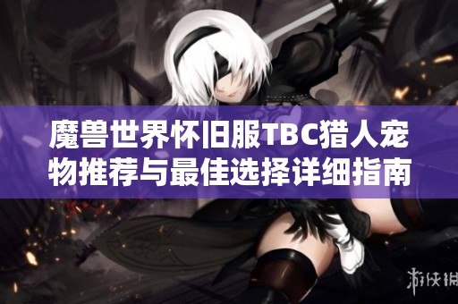 魔兽世界怀旧服TBC猎人宠物推荐与最佳选择详细指南