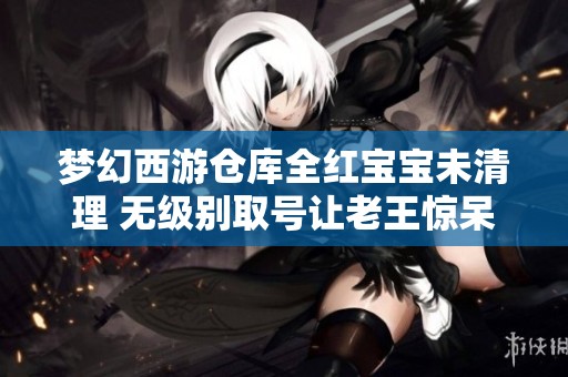 梦幻西游仓库全红宝宝未清理 无级别取号让老王惊呆大呼捡漏