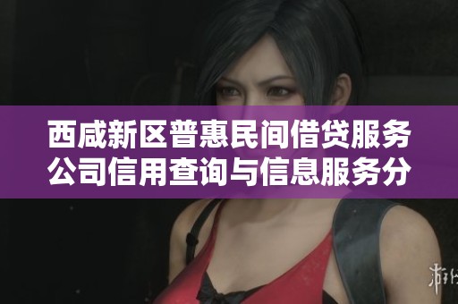 西咸新区普惠民间借贷服务公司信用查询与信息服务分析