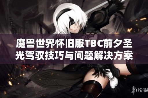 魔兽世界怀旧服TBC前夕圣光驾驭技巧与问题解决方案详解