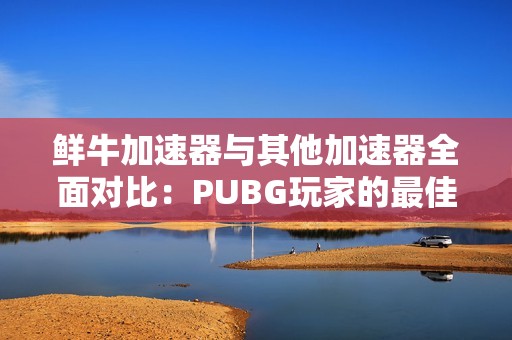 鲜牛加速器与其他加速器全面对比：PUBG玩家的最佳选择分析