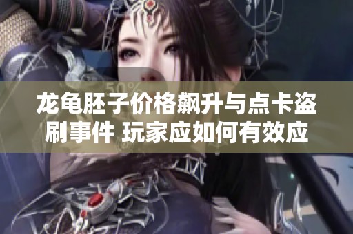 龙龟胚子价格飙升与点卡盗刷事件 玩家应如何有效应对
