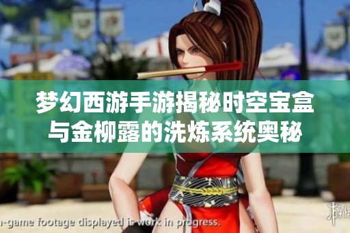 梦幻西游手游揭秘时空宝盒与金柳露的洗炼系统奥秘