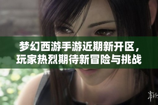 梦幻西游手游近期新开区，玩家热烈期待新冒险与挑战