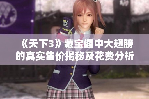 《天下3》藏宝阁中大翅膀的真实售价揭秘及花费分析