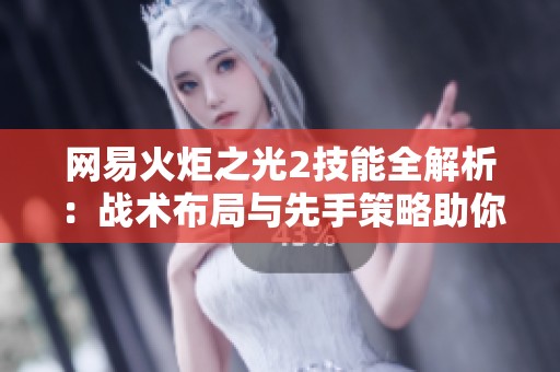 网易火炬之光2技能全解析：战术布局与先手策略助你赢得胜利