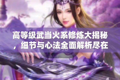 高等级武当火系修炼大揭秘，细节与心法全面解析尽在神仙代售