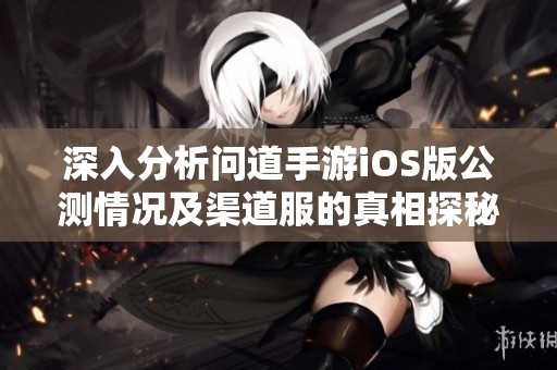 深入分析问道手游iOS版公测情况及渠道服的真相探秘