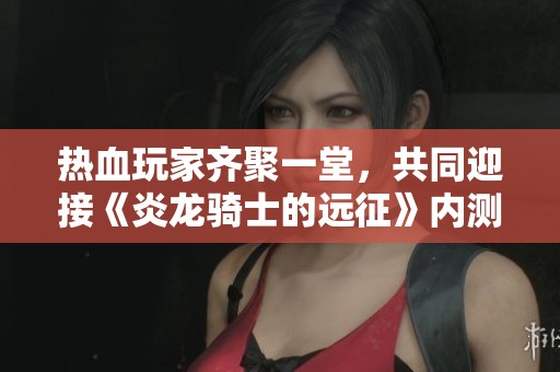 热血玩家齐聚一堂，共同迎接《炎龙骑士的远征》内测盛典