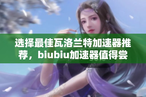 选择最佳瓦洛兰特加速器推荐，biubiu加速器值得尝试的理由与优势解析
