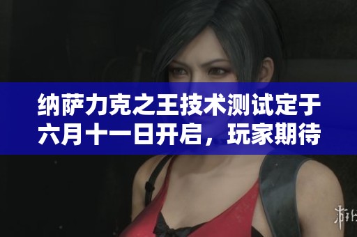 纳萨力克之王技术测试定于六月十一日开启，玩家期待正式上线的日子到来