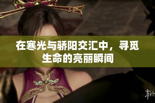 在寒光与骄阳交汇中，寻觅生命的亮丽瞬间