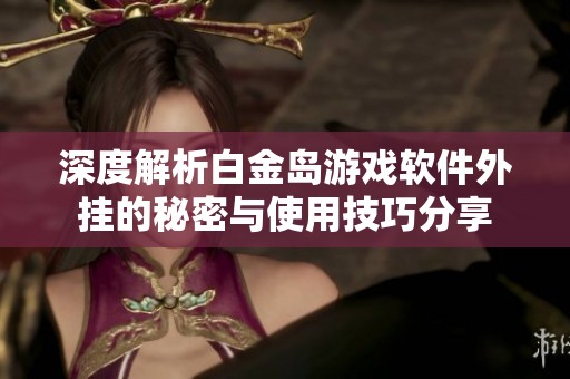 深度解析白金岛游戏软件外挂的秘密与使用技巧分享