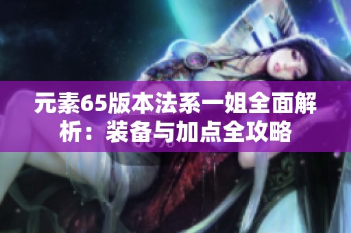 元素65版本法系一姐全面解析：装备与加点全攻略