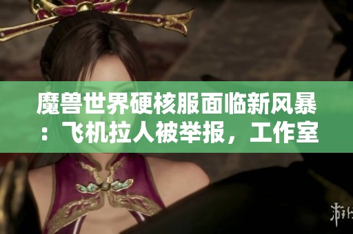 魔兽世界硬核服面临新风暴：飞机拉人被举报，工作室频频遭禁封